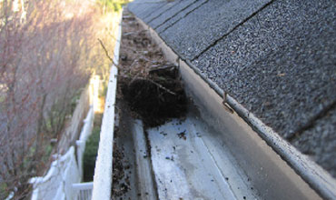 gutter-cleaning-west-chicago-il